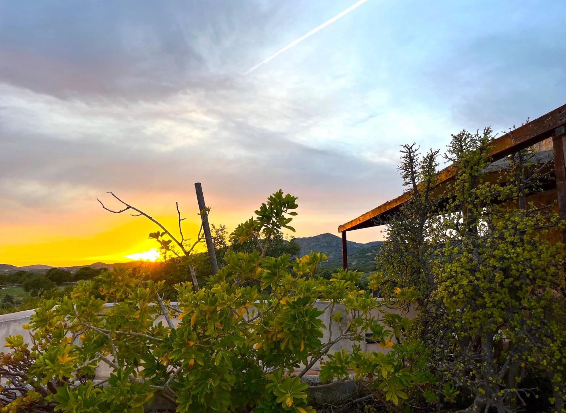 Vakantieboerderij Ses Cases Noves Sant Llorenc Des Cardassar