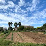 Finca Hotel Ses Cases Noves