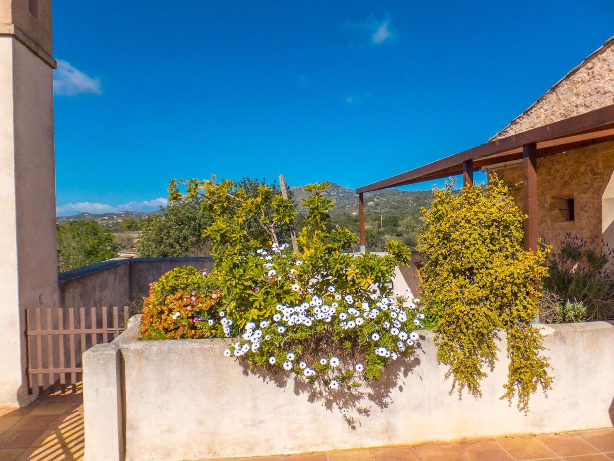 Ses Cases Noves Farm stay *